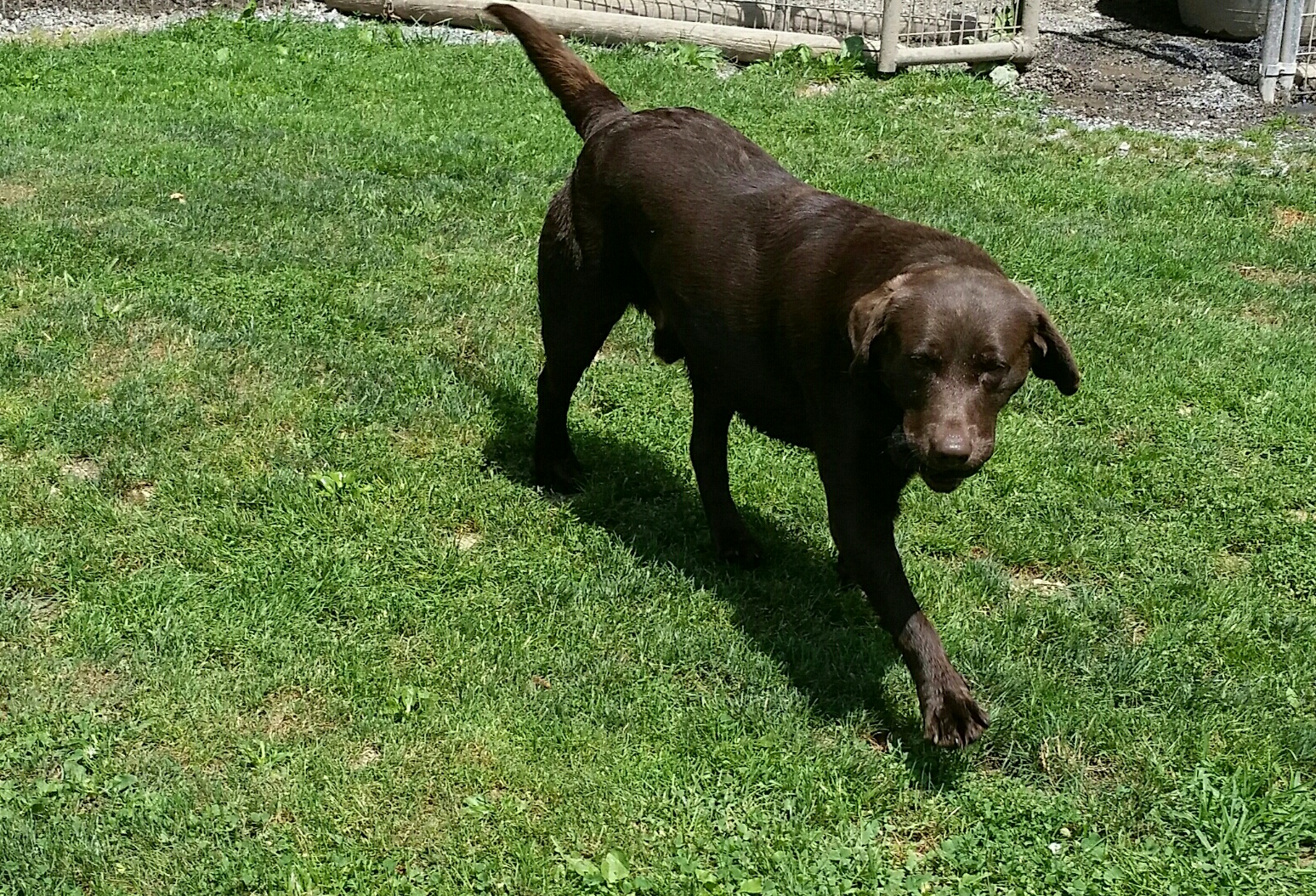 Our Baby Remington